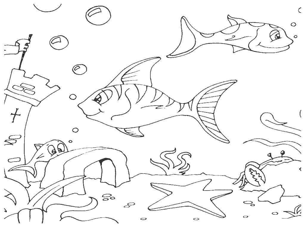 Рисунок на морскую тему для детей фото