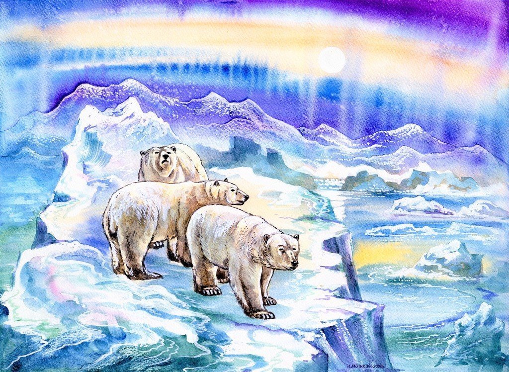 Рисунок на тему арктика фото
