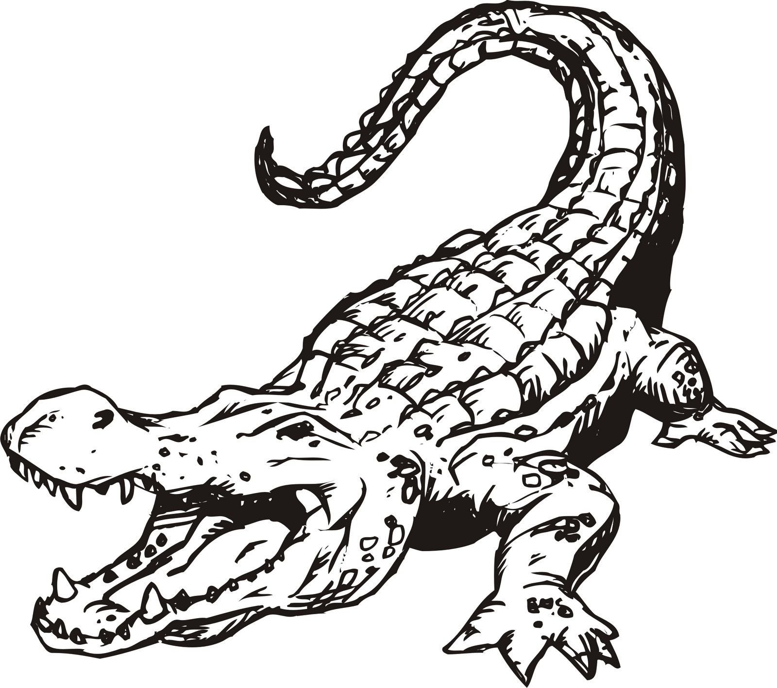 Рисунок на тему крокодил фото