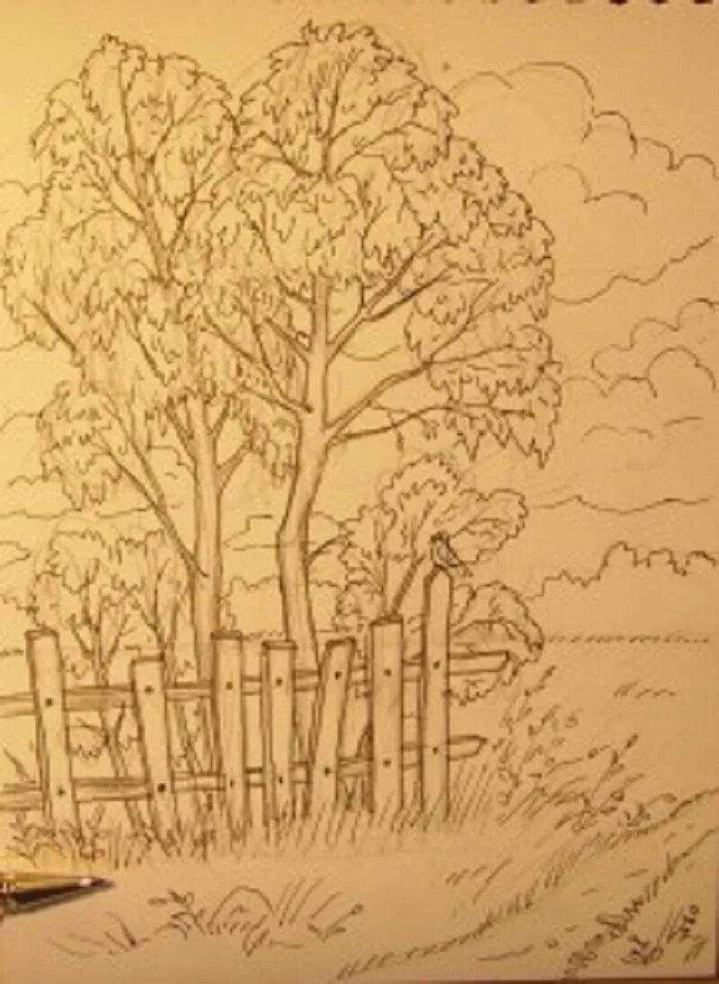 Рисунок на тему осень простым карандашом фото