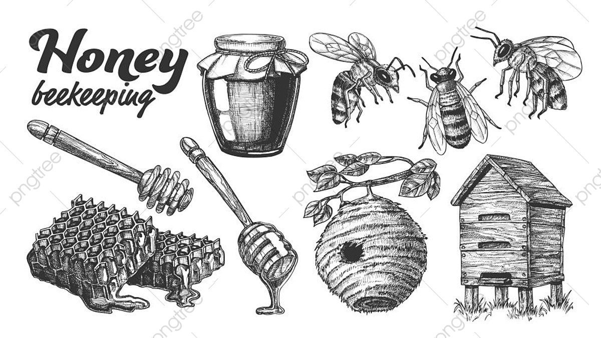 Рисунок на тему пчеловодство фото
