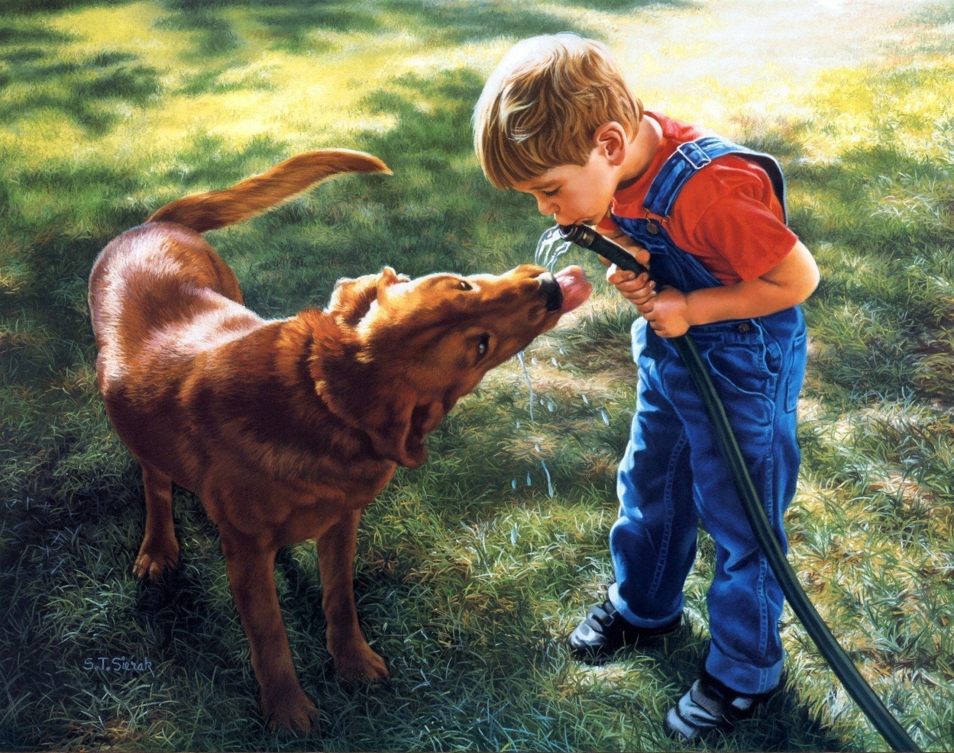 Рисунок на тему собака друг человека фото