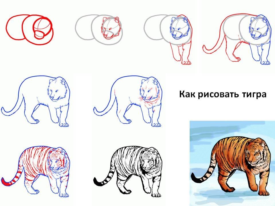 Рисунок на тему тигр фото