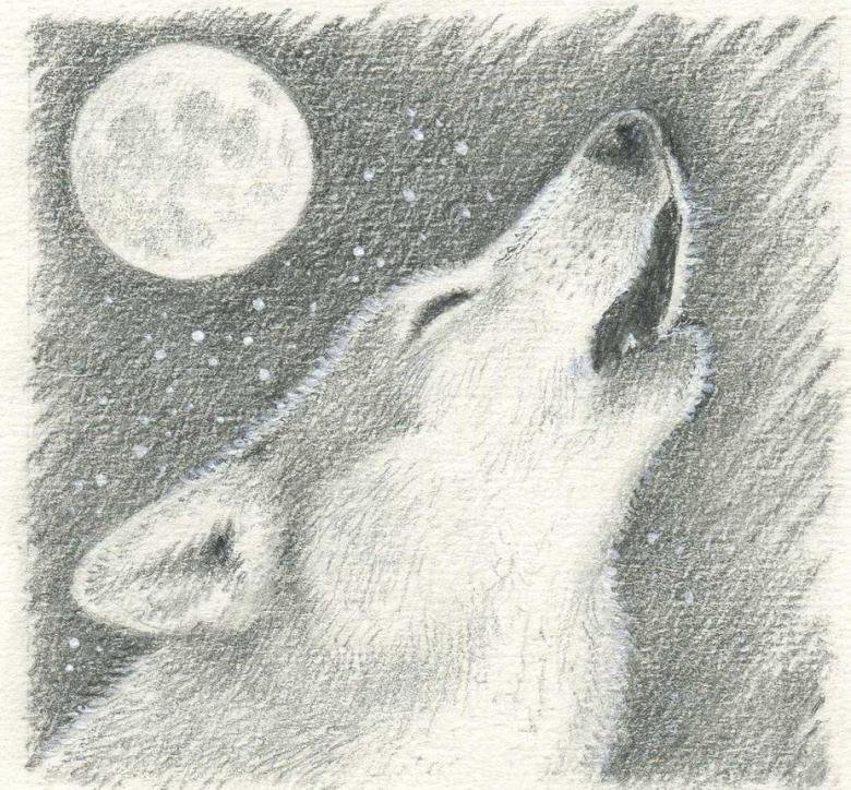 Рисунок на тему волк фото