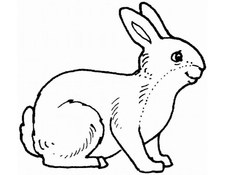 Рисунок на тему заяц фото