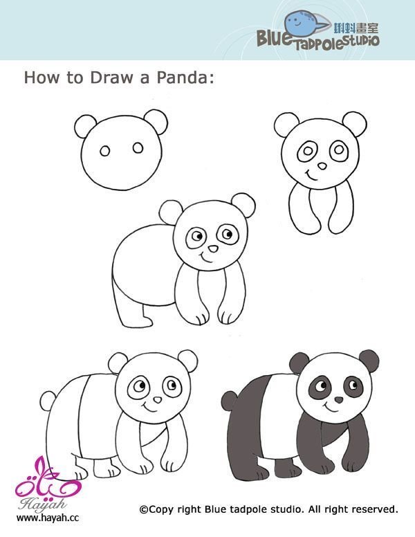 Рисунок панды для детей поэтапно фото