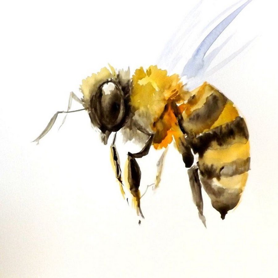 Рисунок пчелки арт фото