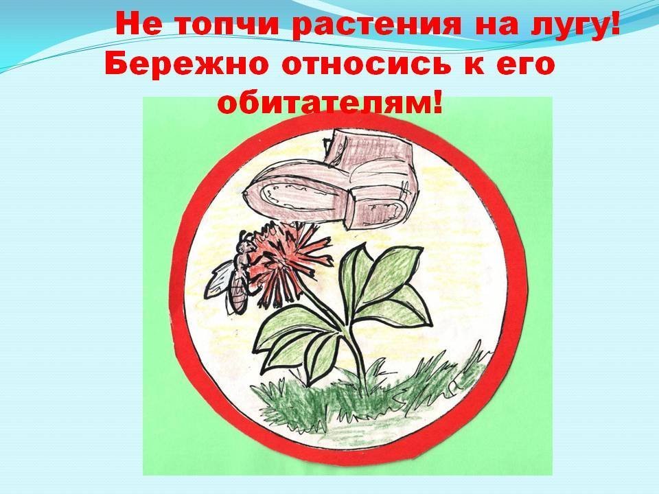 Рисунок плакат на тему берегите растения фото