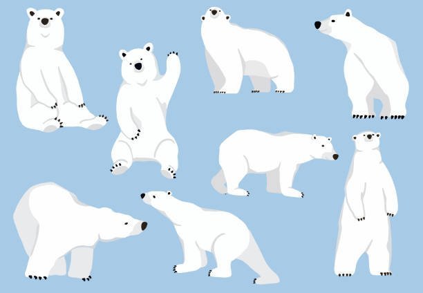 Рисунок по клеточкам белого медведя фото