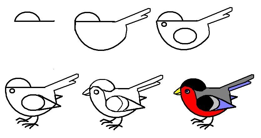 Рисунок птицы карандашом поэтапно легко фото