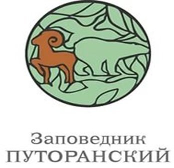 Рисунок символ всероссийский день заповедников и национальных фото