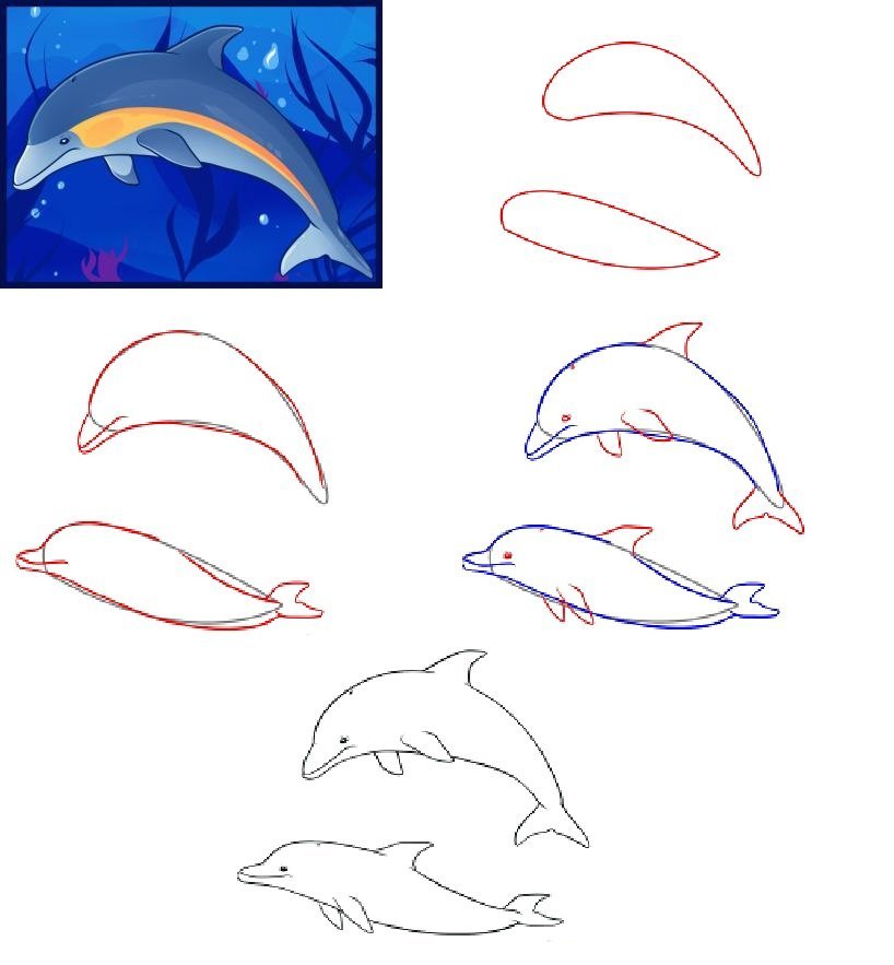 Рисунок синего кита поэтапно фото
