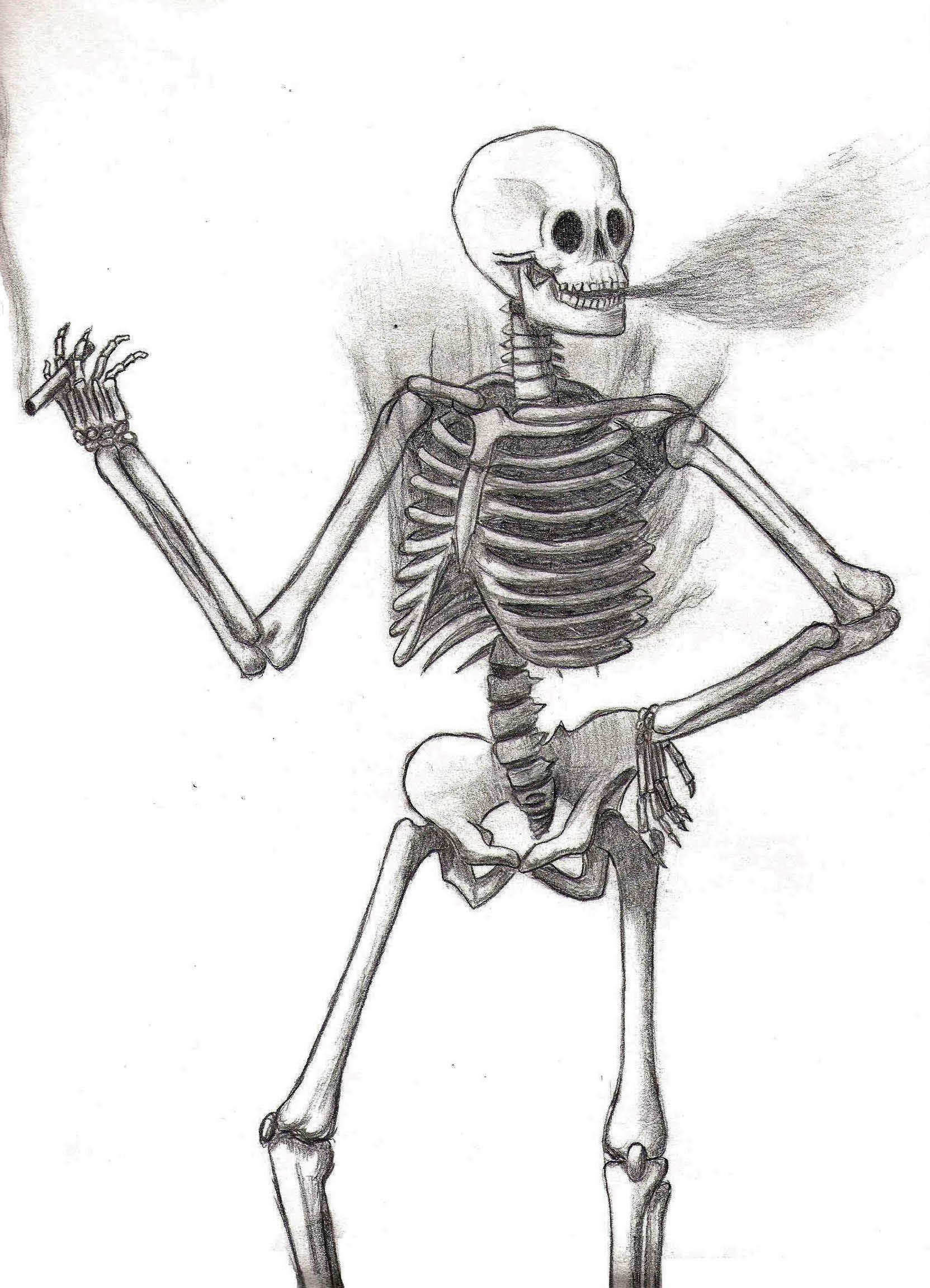 Рисунок скелета карандашом для начинающих легко фото