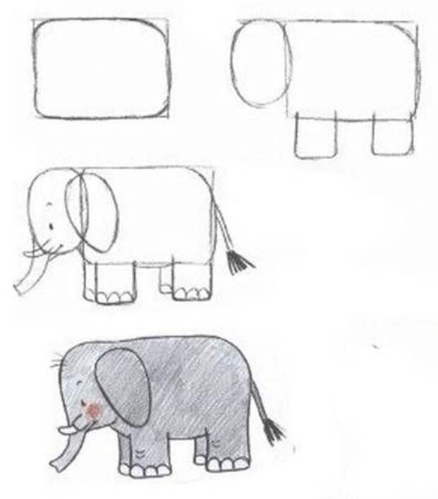 Рисунок слон для детей поэтапно фото