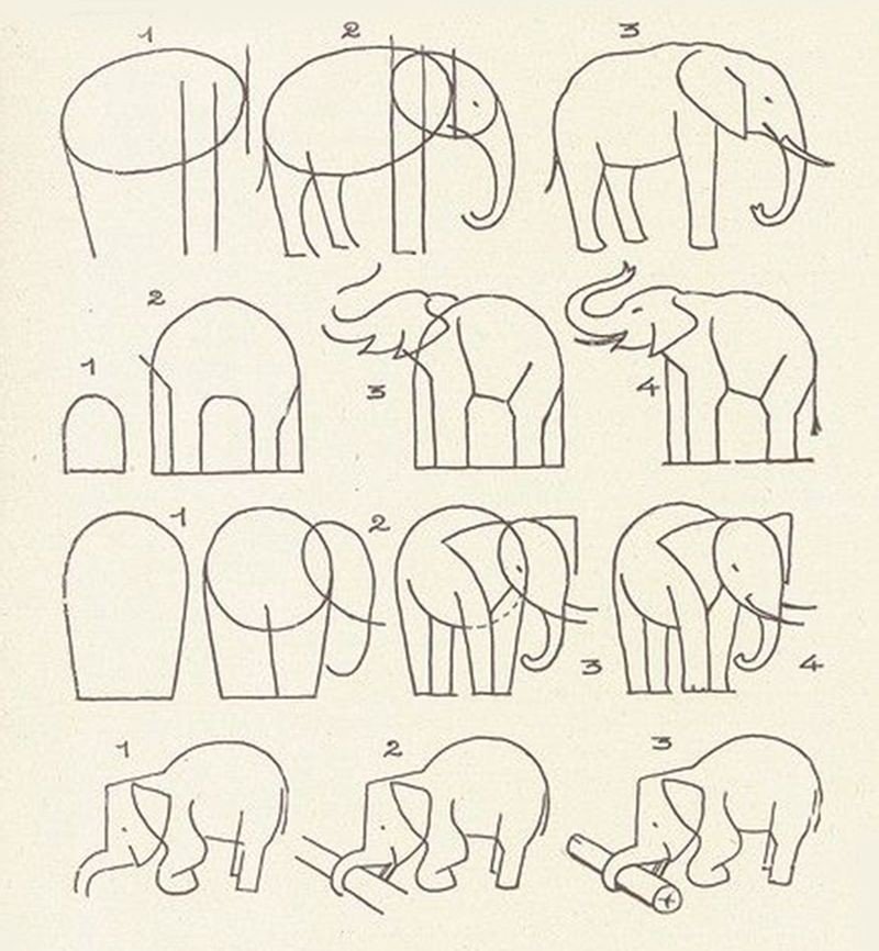 Рисунок слон поэтапно фото