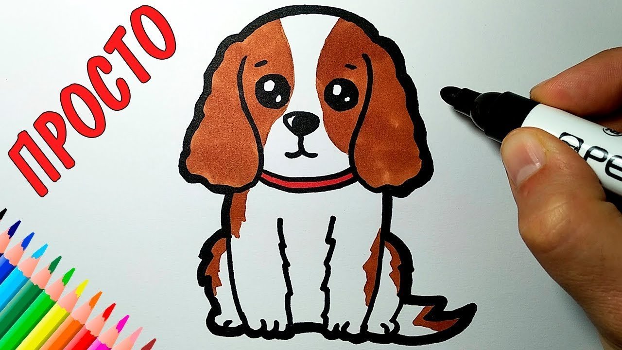 Рисунок собака для начинающих фото