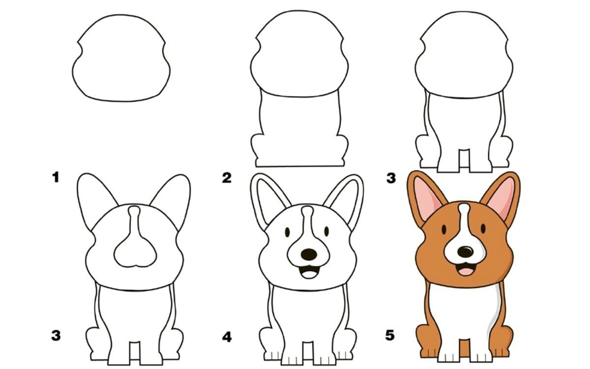 Рисунок собаки поэтапно карандашом легко для детей фото