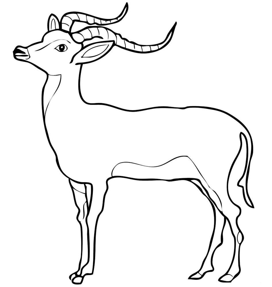 Рисунок травоядного животного легкий фото