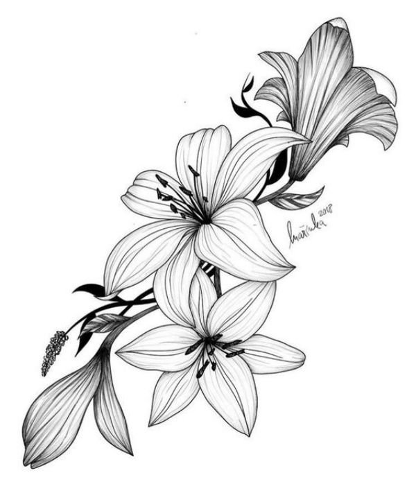 Рисунок цветы эскиз фото