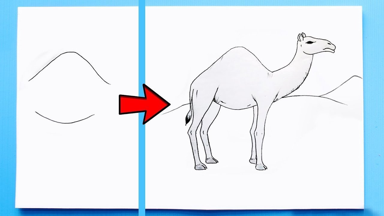 Рисунок верблюд для детей поэтапно фото