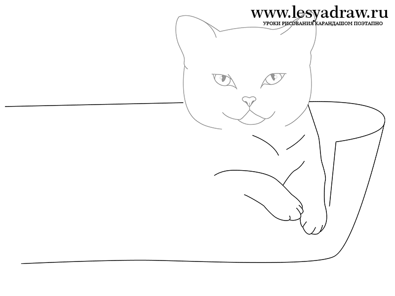 Рисунок вислоухого кота поэтапно фото