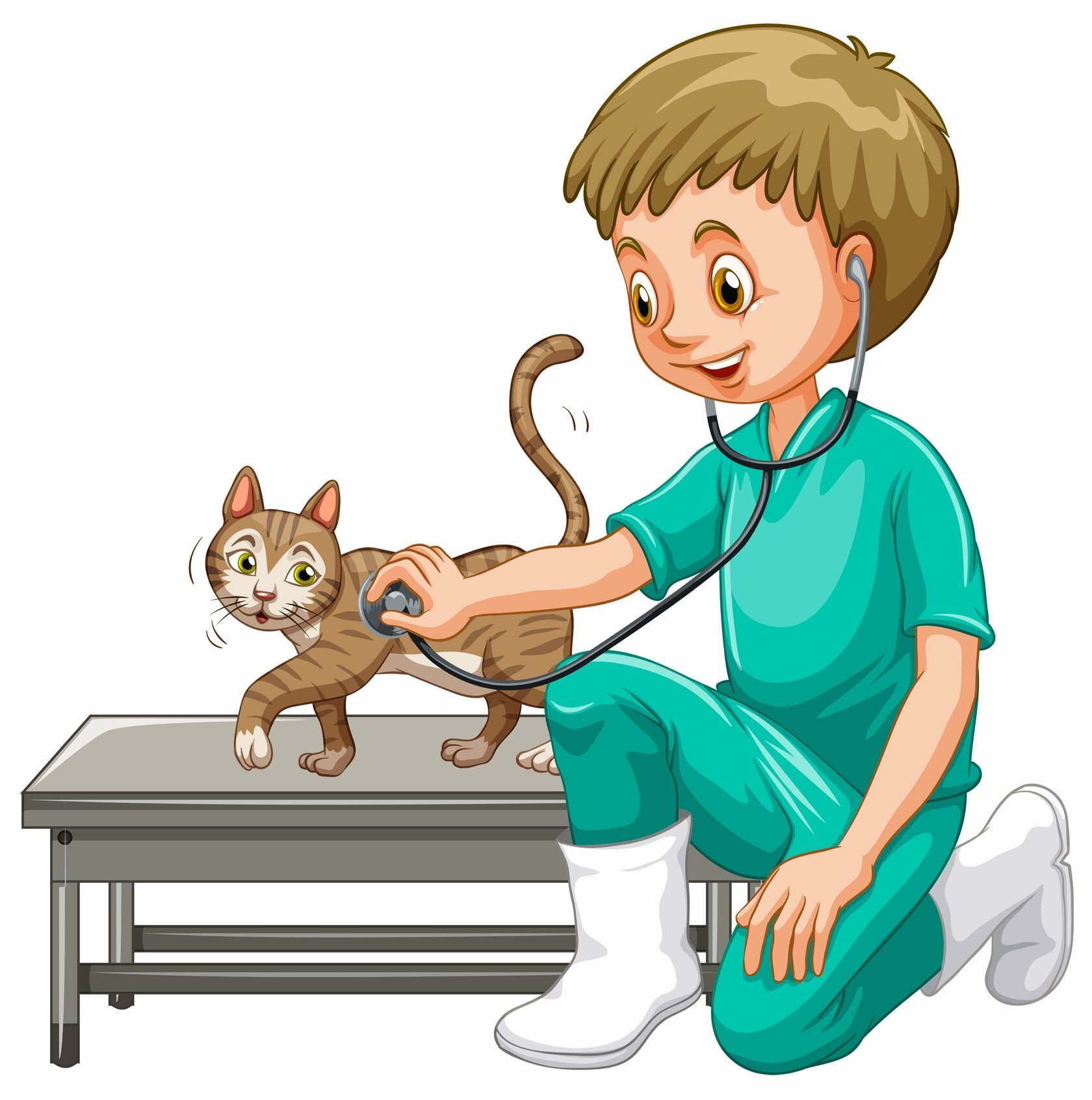 Рисунок врача ветеринара с животными фото