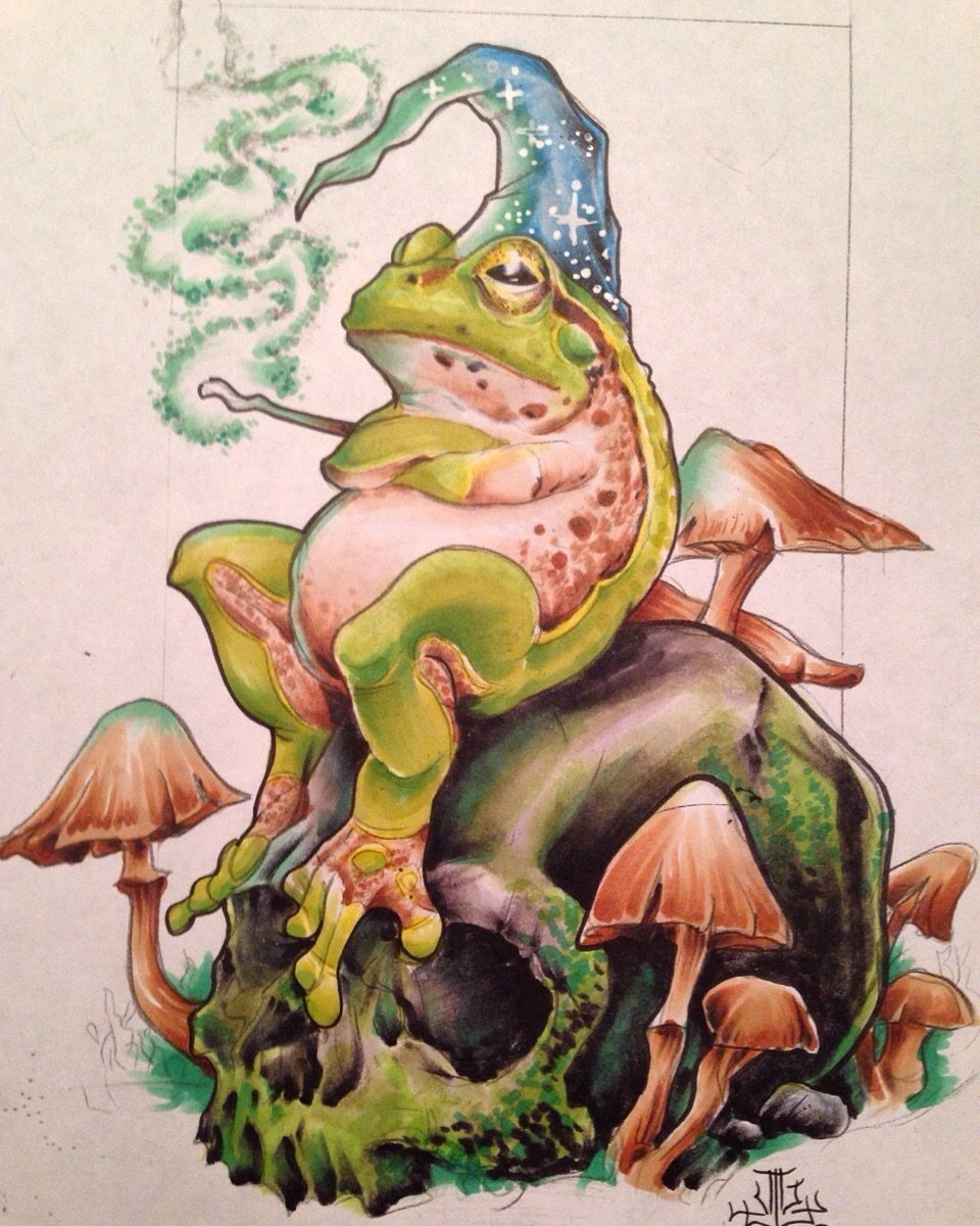 Рисунок жабка арт фото