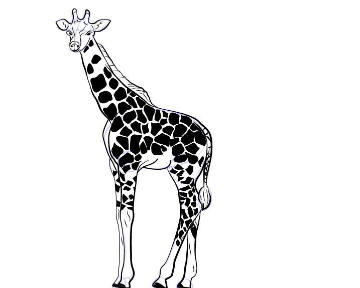 Рисунок жирафа карандашом поэтапно легко фото