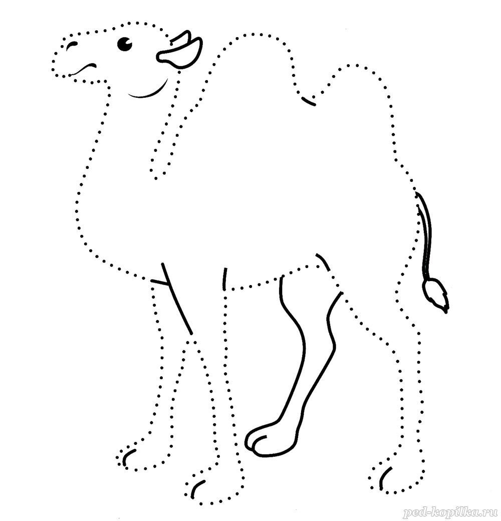Рисунок животного по точкам для детей фото