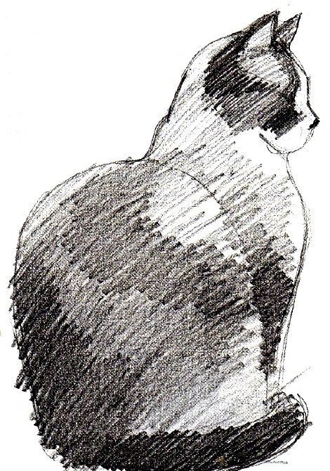 Рисунок животного штриховкой фото