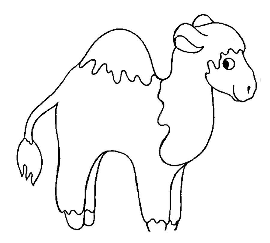 Рисунок животного верблюд фото