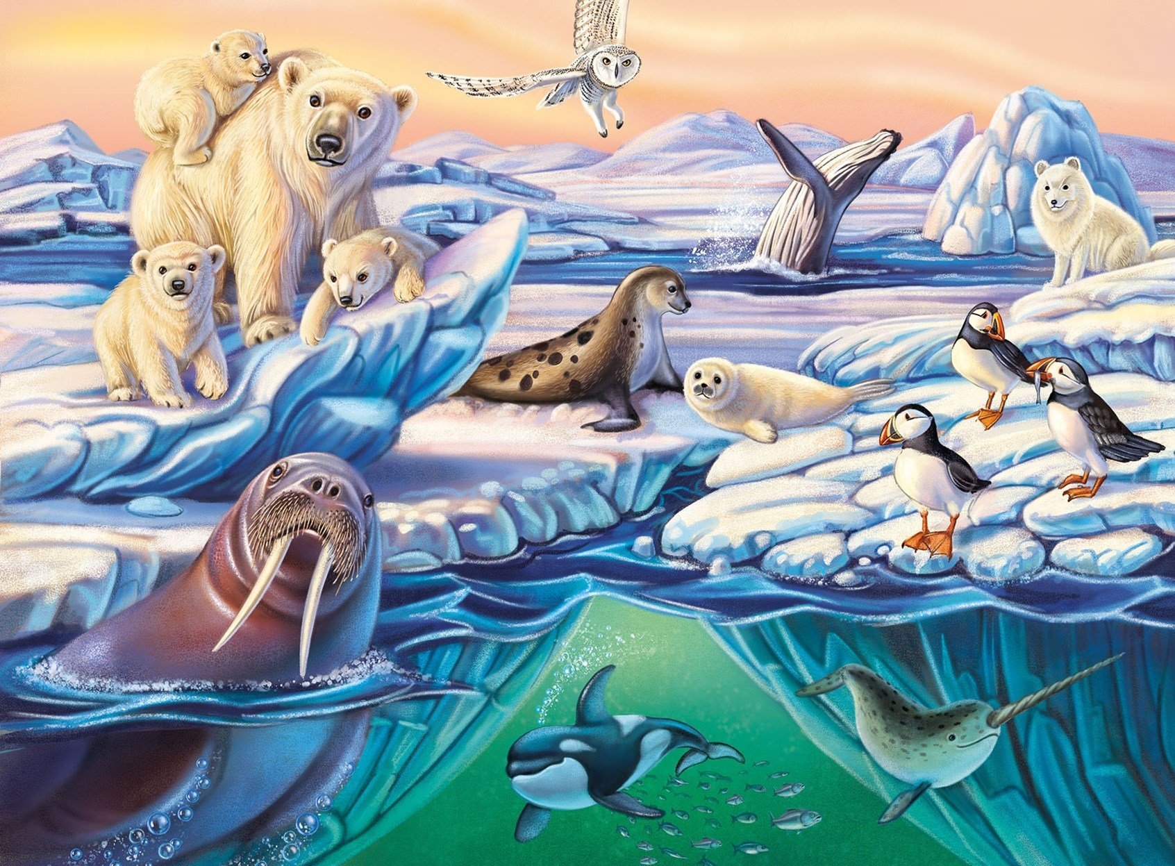 Рисунок животные арктики фото