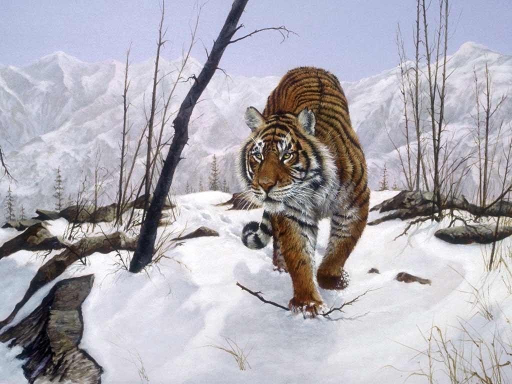 Рисунок животные в горах фото