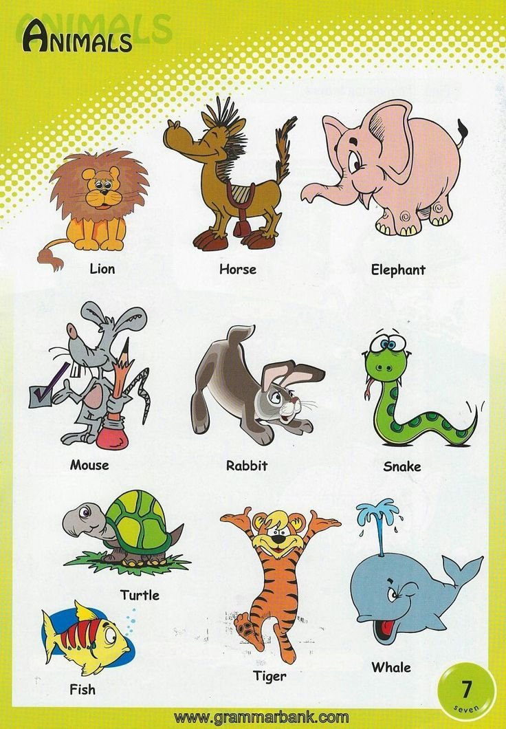 Рисунок животных на английском фото