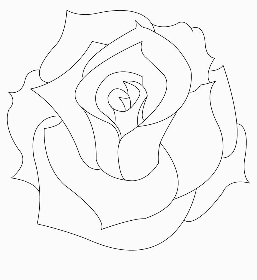 Роза контурный рисунок фото