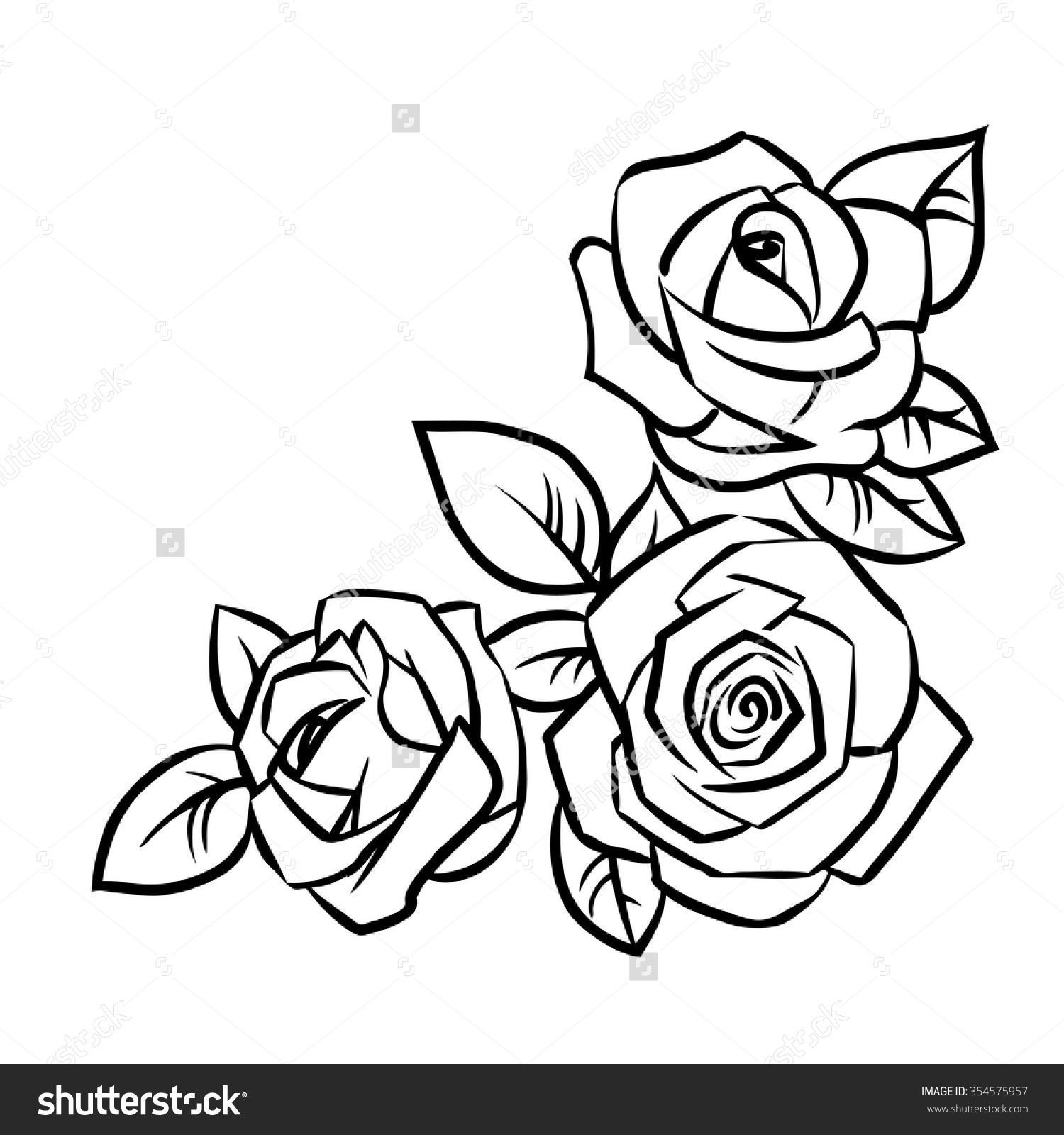 Розы карандашом на прозрачном фоне фото