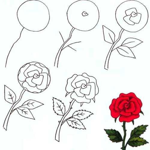 Розы рисунок поэтапно легко фото