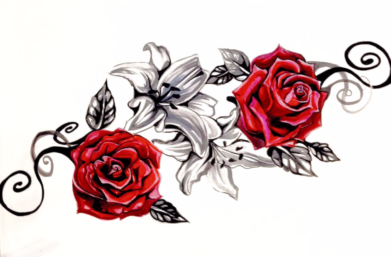 Розы тату эскизы на прозрачном фоне фото