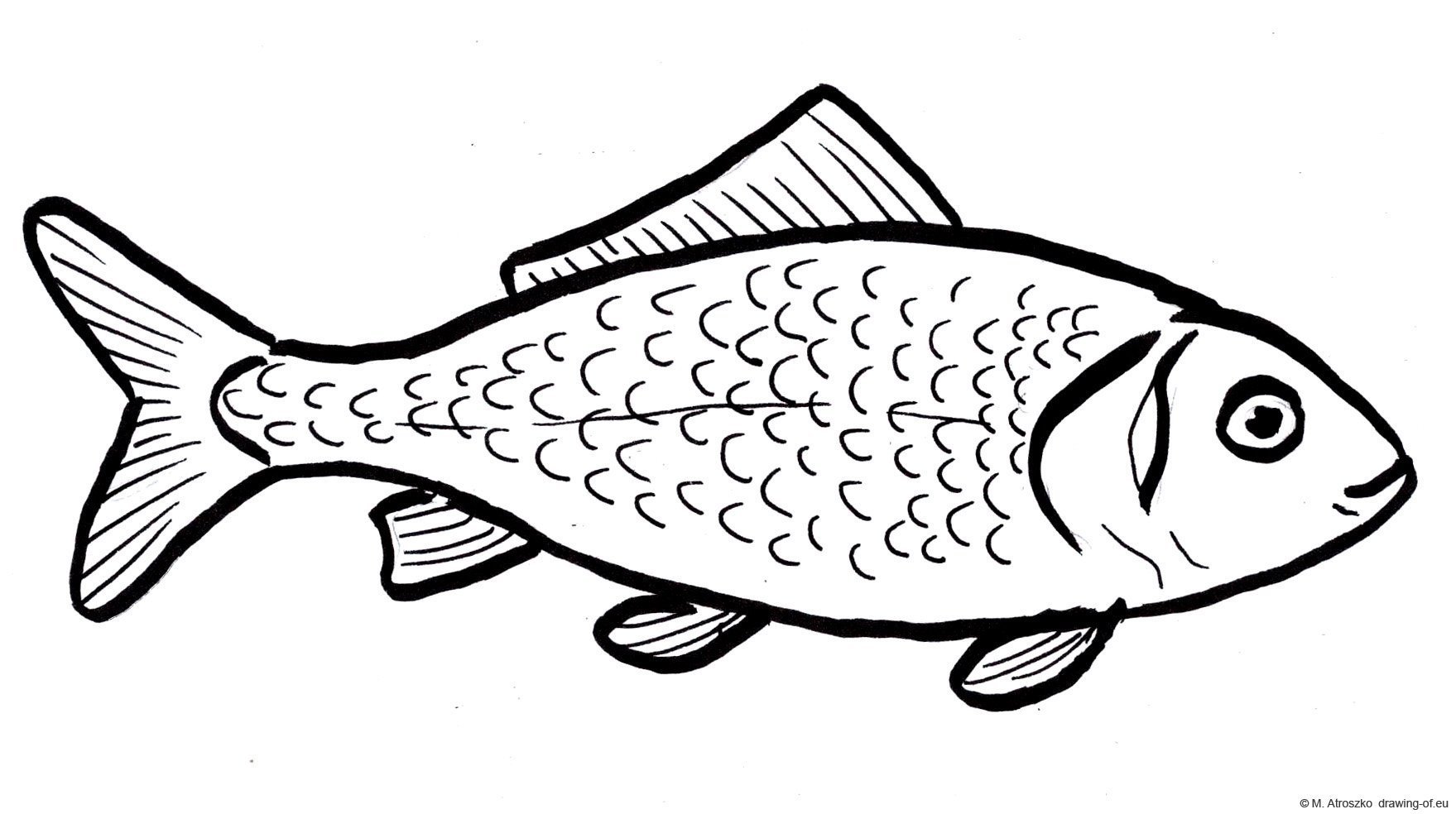 Рыба рисунок детский простой фото