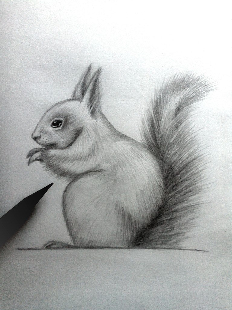 Самый простой рисунок карандашом животные фото