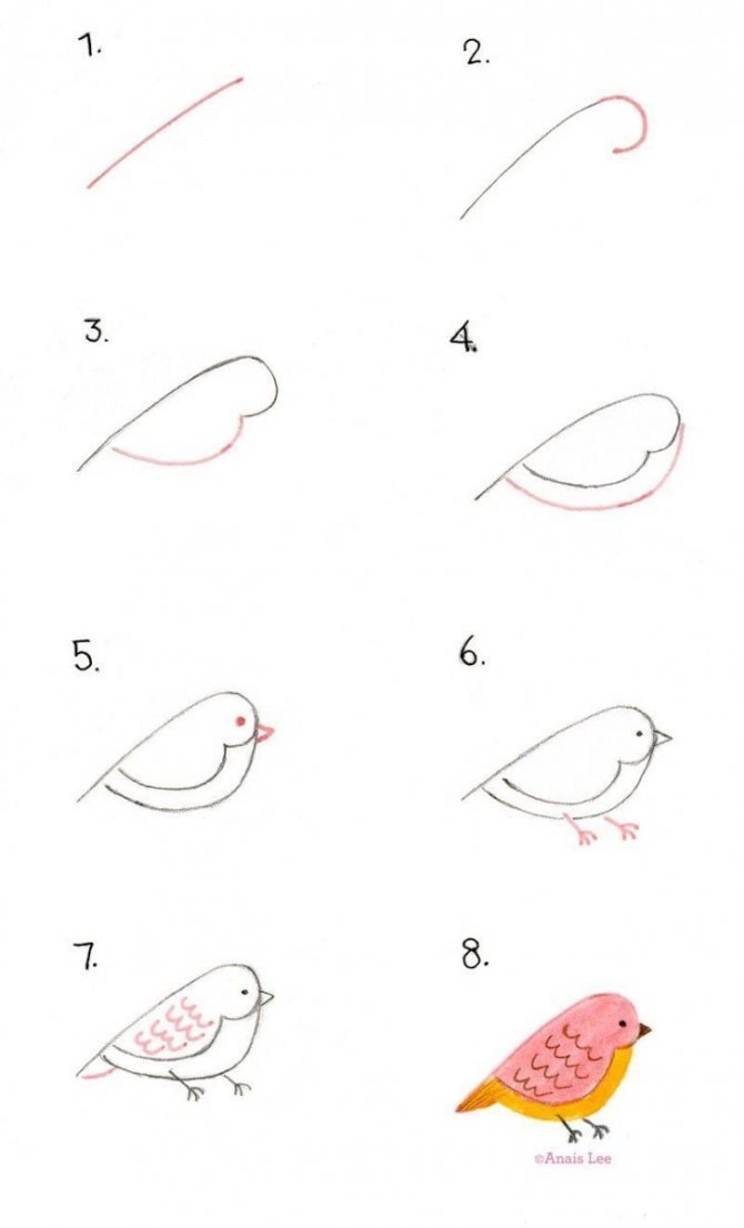 Самый простой рисунок птицы поэтапно фото