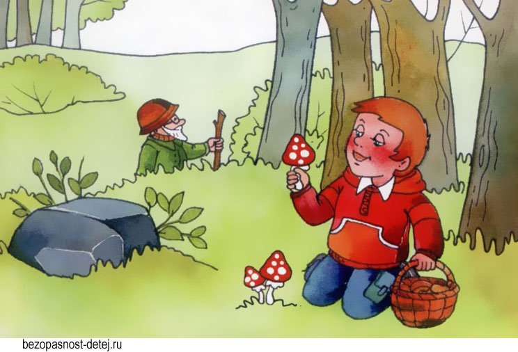 Сбор грибов детский рисунок фото