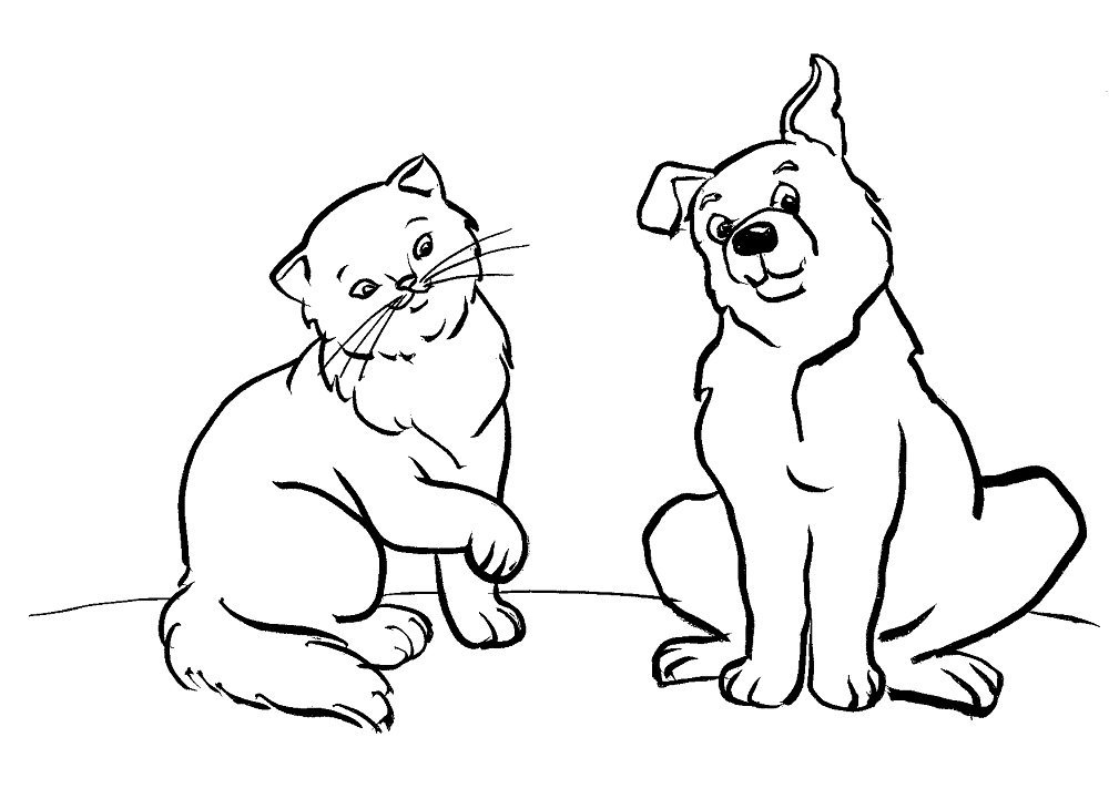 Щенки и котята рисунки контурные фото