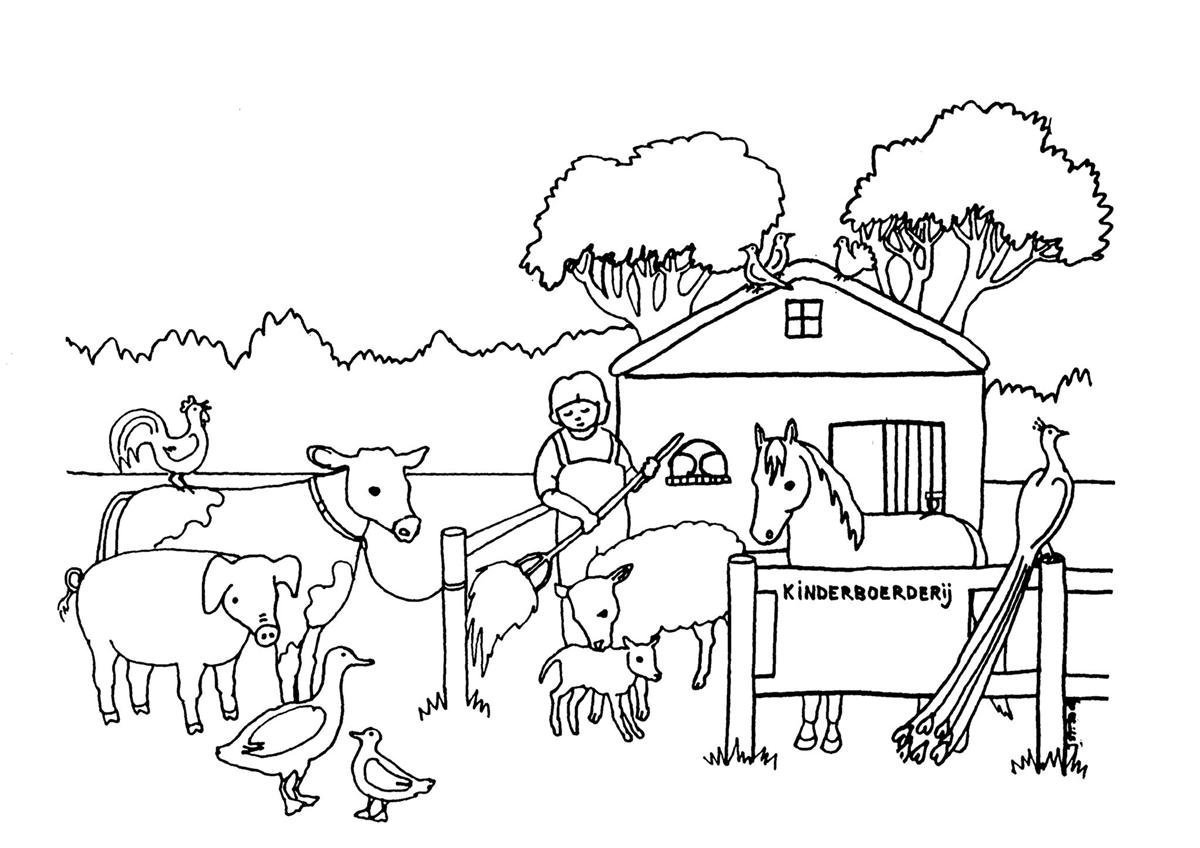 Сельскохозяйственные животные рисунки для детей фото