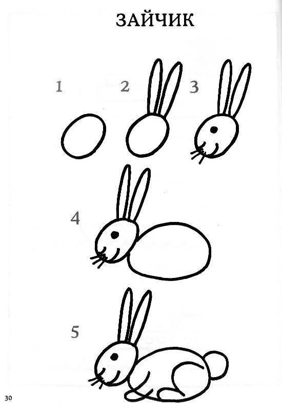 Сидячий заяц рисунок поэтапно фото