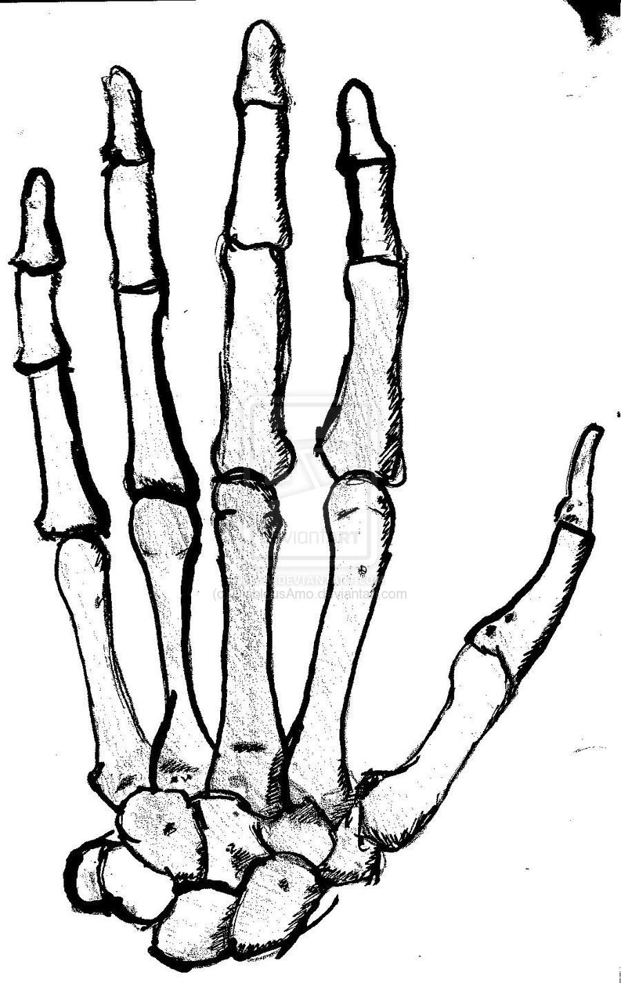Скелет руки человека рисунки на руке тату фото