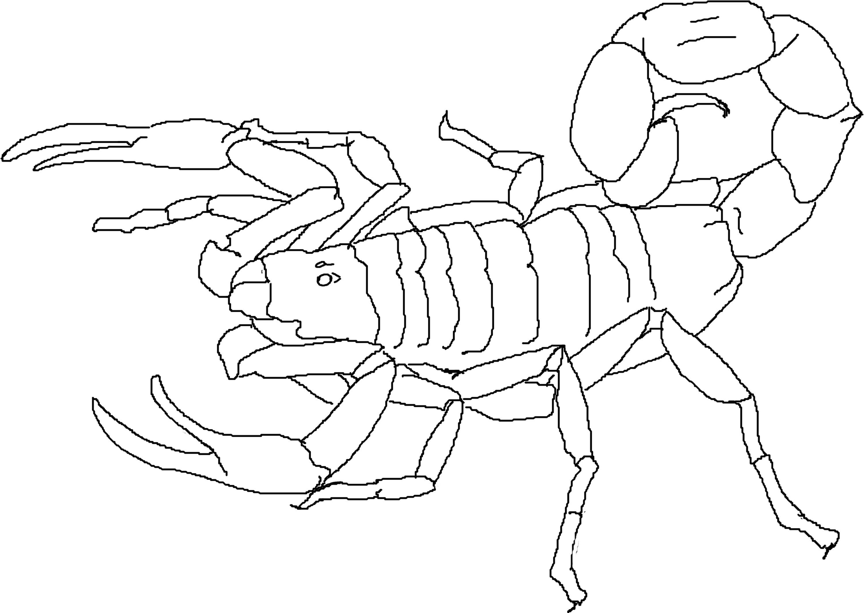 Скорпион детский рисунок фото