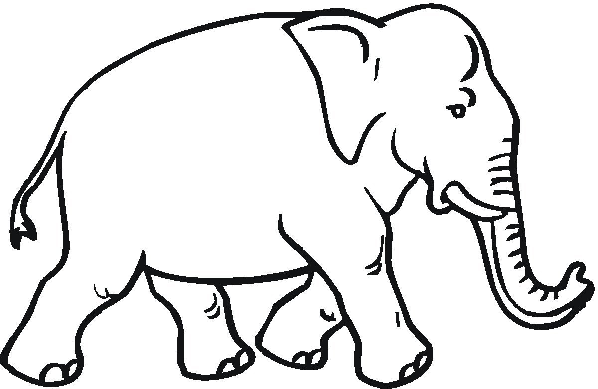 Слон контурный рисунок для детей фото
