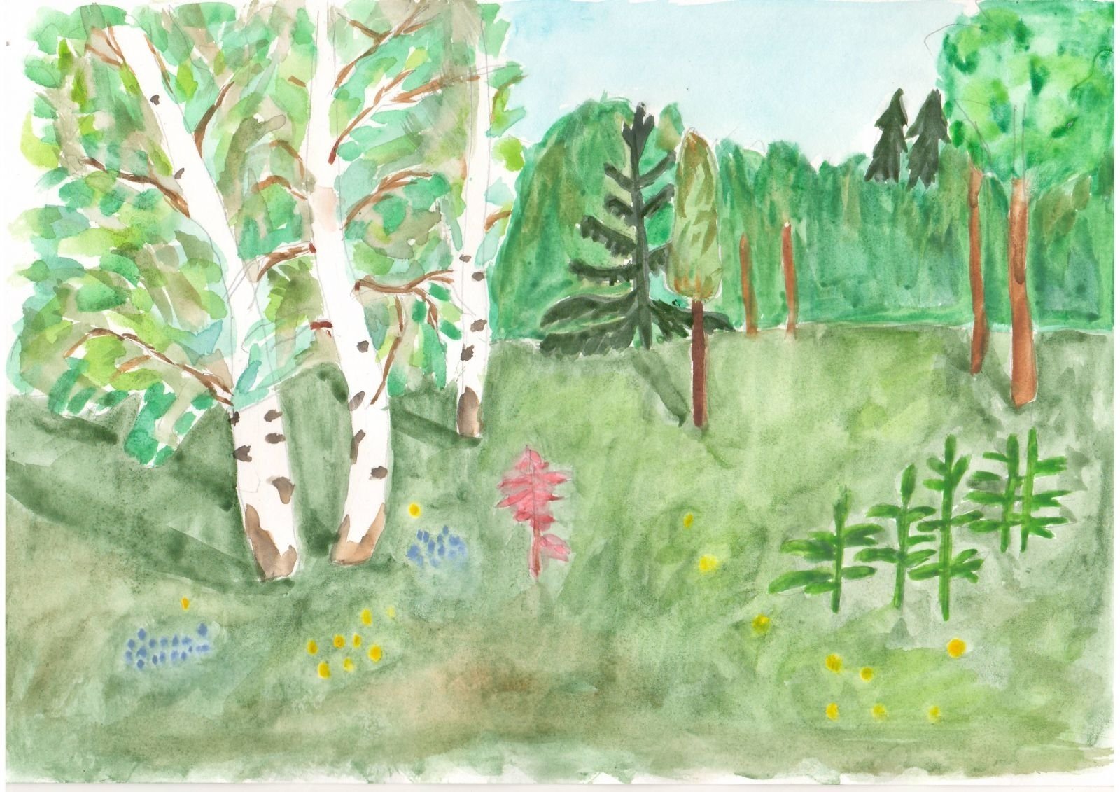Смешанный лес рисунок детский фото