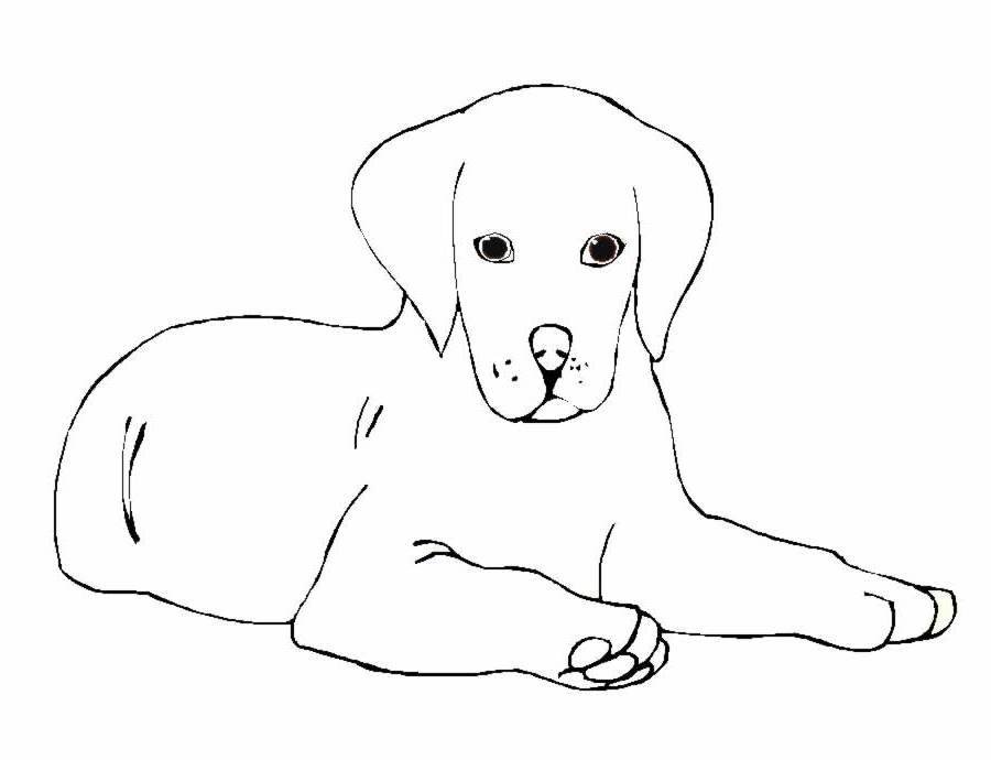Собака рисунок детский простой фото